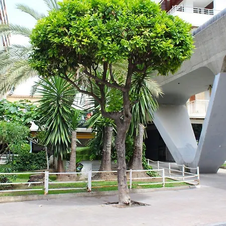 Appartamento Apartamento En La Nogalera, Centro Con Vistas